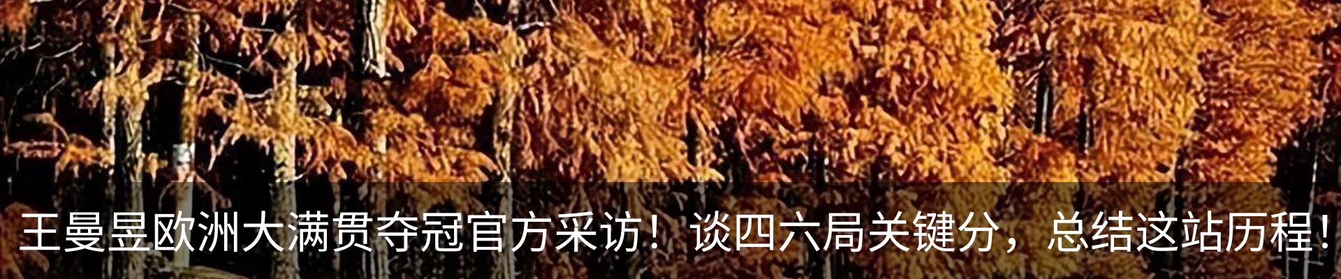 新闻中心